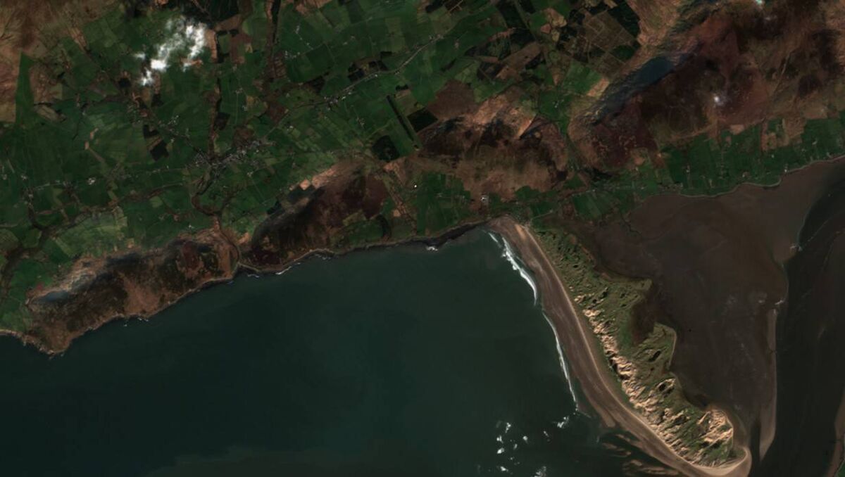 Even short periods of scarring are enough to displace ecosystems, and the homes of flora and fauna.