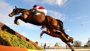 <p>Conflated  should vindicate connections’ decision to skip the Cheltenham Festival in favour of the Grade  3 Novices Chase at Naas on Sunday. Picture: Healy Racing</p>