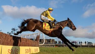 <p>HAT-TRICK CHASE: Paul Townend on Al Boum. The Willie Mullins-trained favourite will face up to a dozen Gold Cup rivals next Friday at Cheltenham. Picture: Morgan Treacy, Inpho</p>