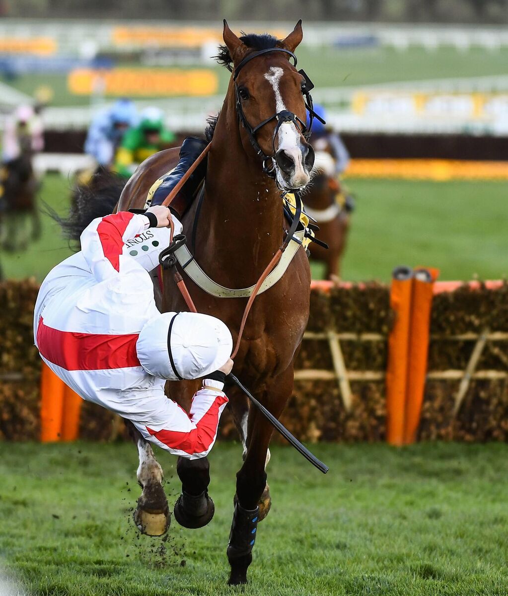 Goshen’s fall from grace in last year’s Triumph Hurdle.