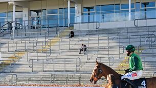 <p>A general view of one of the main stands on Day 1 of the Cheltenham Racing Festival at Prestbury Park. Picture: Hugh Routledge/Sportsfile</p>