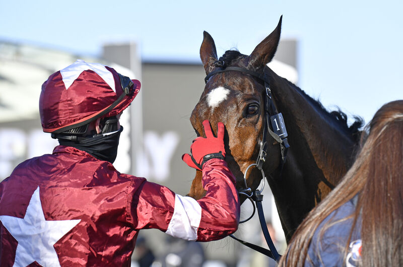 Keith Donoghue celebrates with Tiger Roll. Picture: INPHO/Francesca Altoft