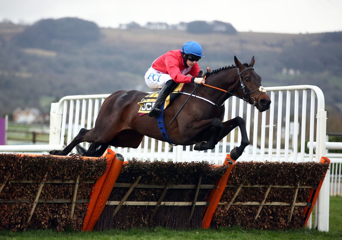 Quilixios ridden by Rachael Blackmore on their way to winning the JCB Triumph Hurdle on day four of the Cheltenham Festival at Cheltenham Racecourse. Picture: Tim Goode/PA Quilixios ridden by Rachael Blackmore on their way to winning the JCB Triumph Hurdle on day four of the Cheltenham Festival at Cheltenham Racecourse. Picture: Tim Goode/PA
