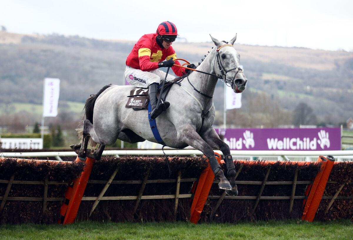 Vanillier ridden by Mark Walsh on their way to winning the Albert Bartlett Novices' Hurdle on day four of the Cheltenham Festival at Cheltenham Racecourse. Picture: Tim Goode/PA Vanillier ridden by Mark Walsh on their way to winning the Albert Bartlett Novices' Hurdle on day four of the Cheltenham Festival at Cheltenham Racecourse. Picture: Tim Goode/PA