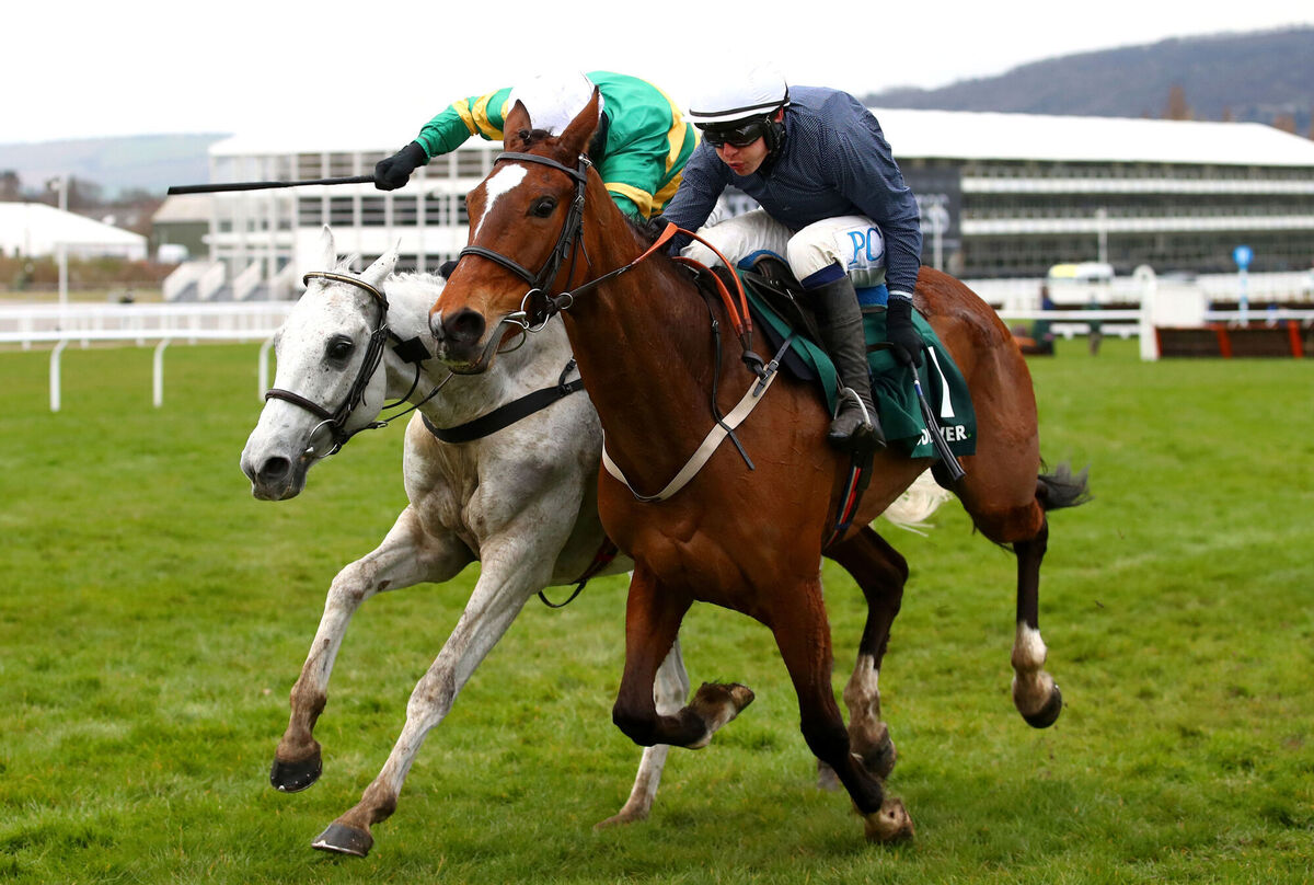 Colreevy ridden by Paul Townend (right) on their way to winning the Mrs Paddy Power Mares' Chase during day four of the Cheltenham Festival at Cheltenham Racecourse. Picture: Michael Steele/PA Colreevy ridden by Paul Townend (right) on their way to winning the Mrs Paddy Power Mares' Chase during day four of the Cheltenham Festival at Cheltenham Racecourse. Picture: Michael Steele/PA