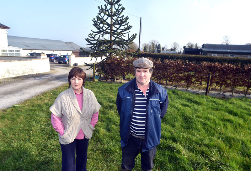 Breda and Liam MacKessy at their farmhouse where the proposed Cork/Limerick motorway will come next to the monkey tree, taking away the sheds (right). Picture: Eddie O'Hare Breda and Liam MacKessy at their farmhouse where the proposed Cork/Limerick motorway will come next to the monkey tree, taking away the sheds (right). Picture: Eddie O'Hare