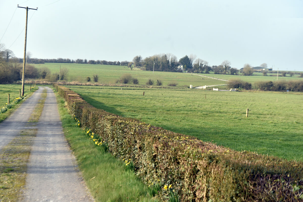 The MacKessan farm land where the proposed Cork/Limerick motorway is to be routed through the drive way heading right