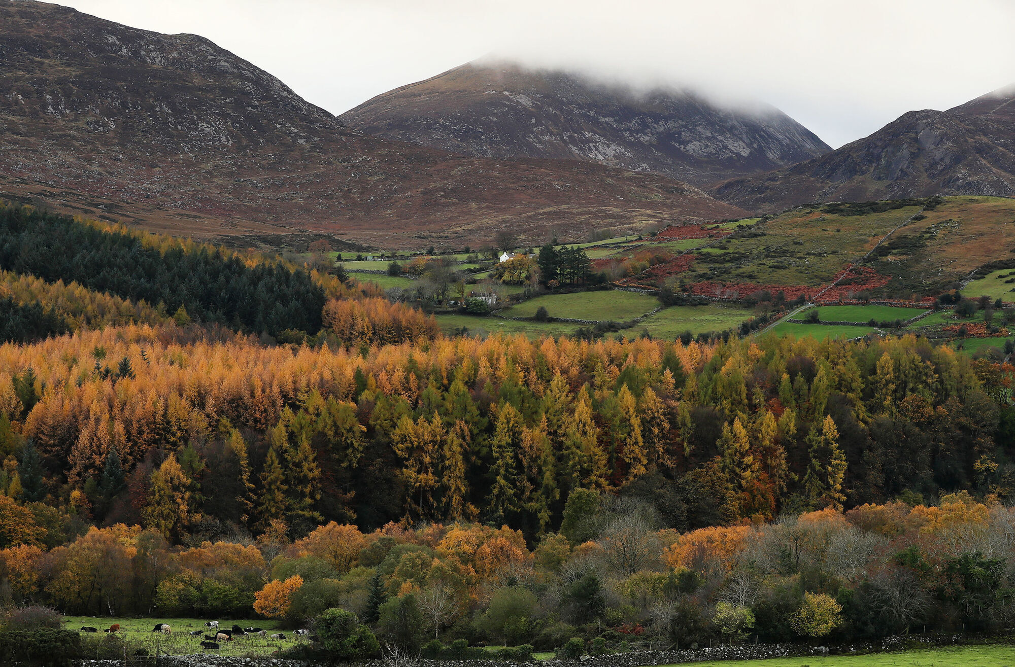 Bill tabled at Stormont to set 2045 target for net zero carbon emissions