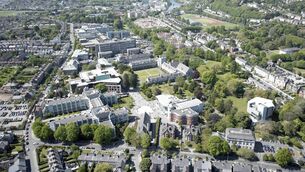 <p>There are 2,500 trees across 42 acres on the UCC campus.</p>