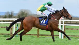 <p>Iron Bridge and Johnny Barry win the Nenagh (C &amp; G) Point-To-Point Flat Race. Picture: Healy Racing.</p>