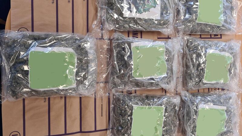 Mechanic caught with €140k stash of cannabis in van at routine checkpoint, court told