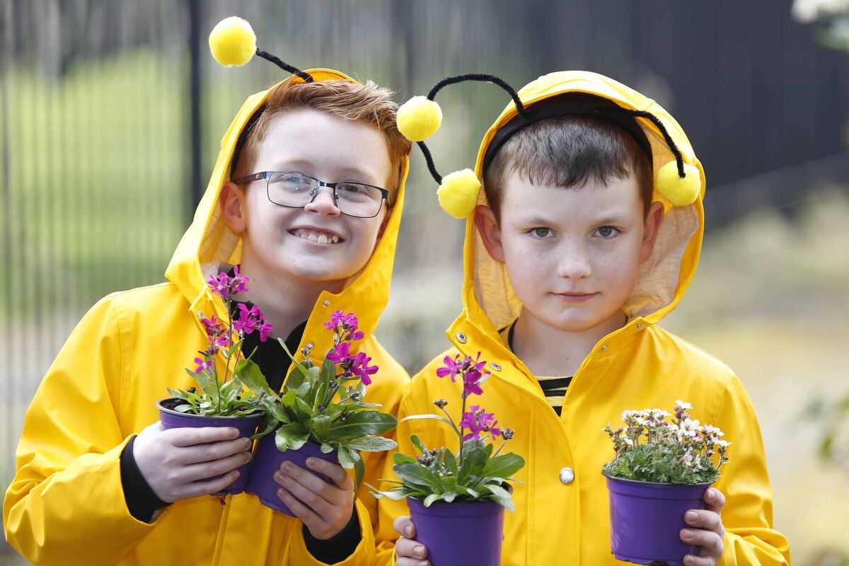 Conor Burke and Jake Power at the launch of the Save The Bees campaign with the All-Ireland Pollinator Plan in the Ringsend community allotments in March 2020. Picture: Leon Farrell Conor Burke and Jake Power at the launch of the Save The Bees campaign with the All-Ireland Pollinator Plan in the Ringsend community allotments in March 2020. Picture: Leon Farrell