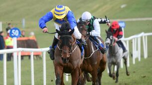 <p>Strange Notions - in good form over jumps recently - can make his mark on the Flat at Navan. Picture: Healy Racing</p>