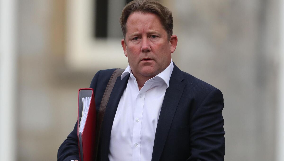 Minister for Housing, Local Government and Heritage Darragh O'Brien launched the bill in January, saying that it would "be the most significant development for our electoral system in decades". Minister for Housing, Local Government and Heritage Darragh O'Brien launched the bill in January, saying that it would "be the most significant development for our electoral system in decades".