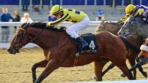 <p>No Speed Limit should provide each-way value in the opener. Picture: Healy Racing.</p>