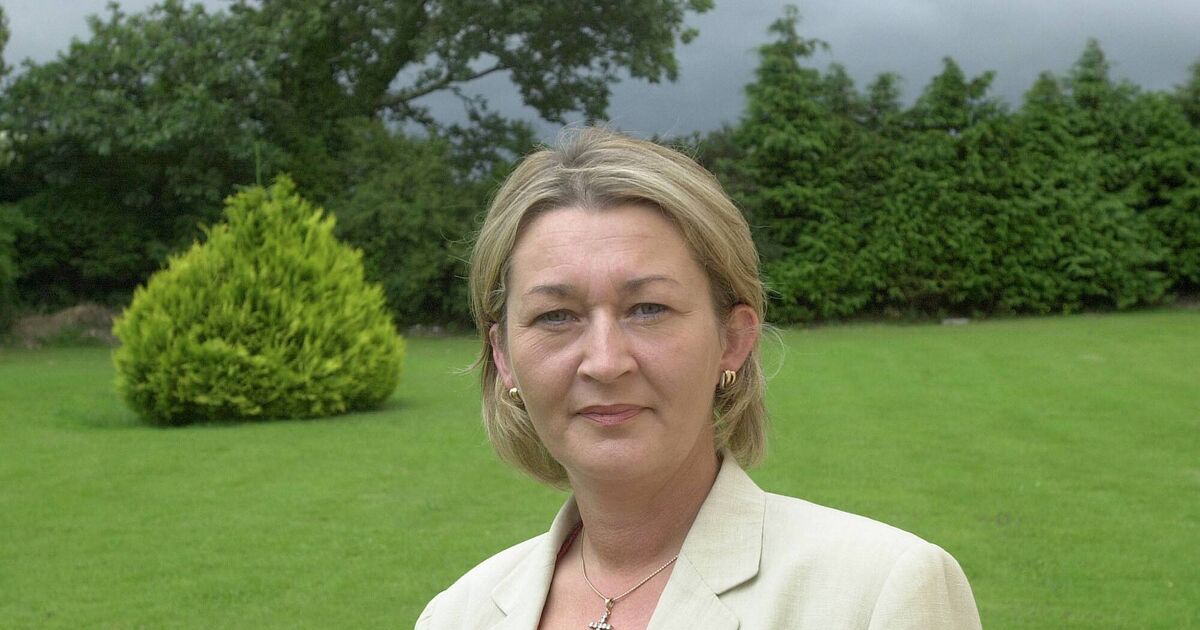 Irish Examiner view Time to reconsider court testimonials