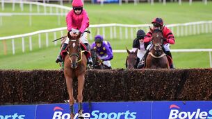 <p>Brace Yourself can bridge a 19-year gap for trainer Noel Meade in the Irish Grand National at Fairyhouse. Picture: Healy Racing</p>