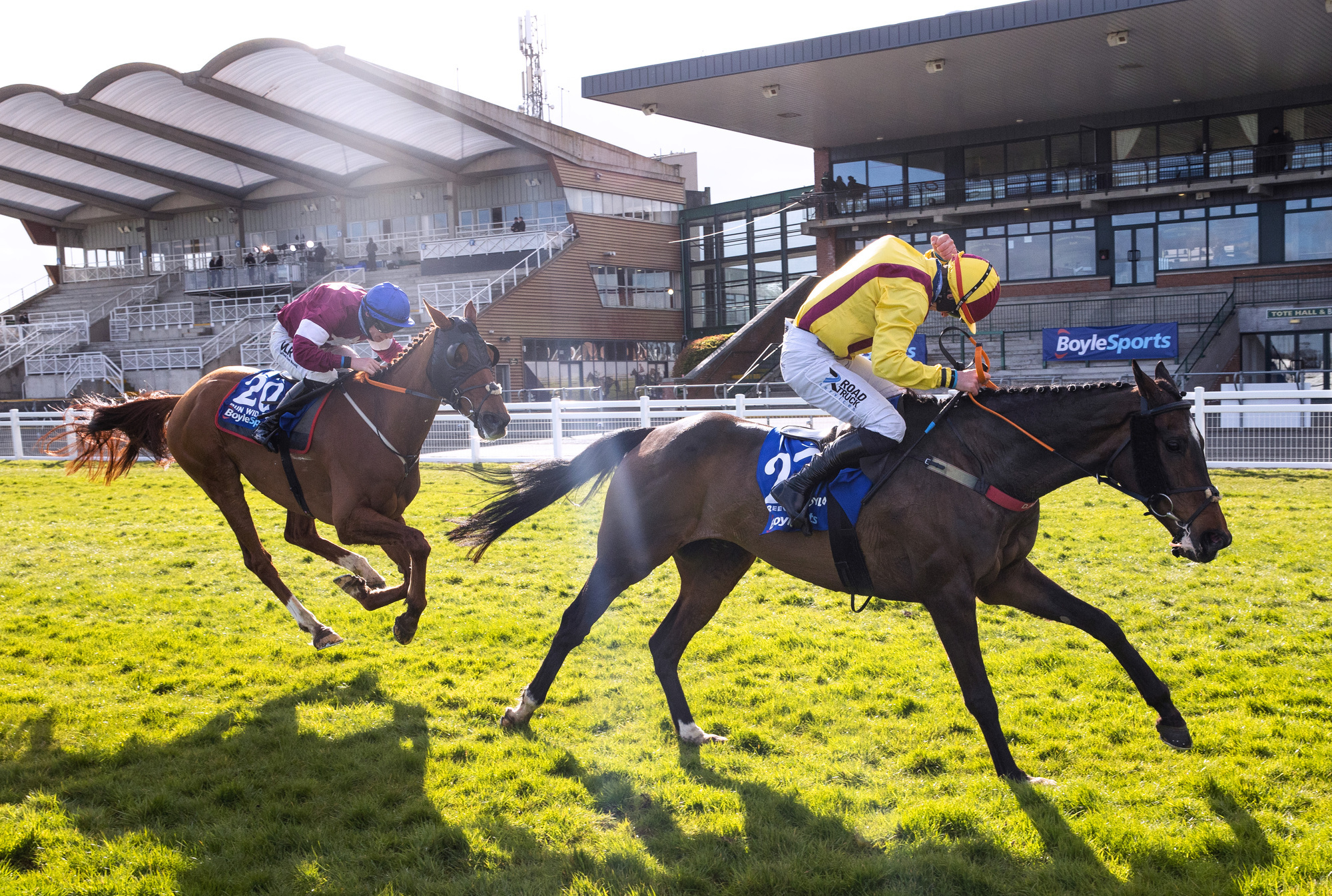 Freewheelin Dylan produces stunning 150-1 success in Irish Grand National