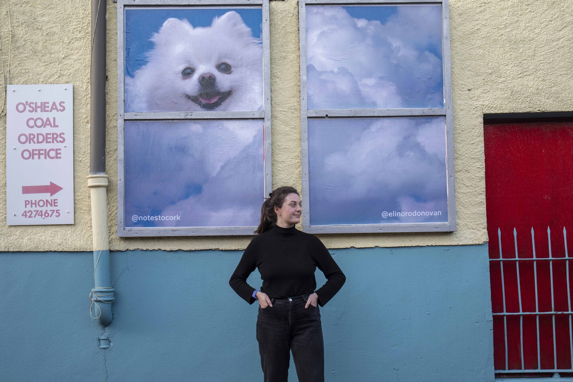 Poster company wants to 'turn the city purple' for Cork ARC Cancer House in new fundraiser