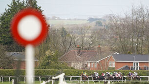 <p>Dermot Weld’s horse ran in three maidens last year and performed quite well without threatening to get involved in a finish.</p>