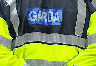 Judge Alec Gabbett said he would treat the crime of assaulting a Garda as a crime “of the utmost seriousness.”