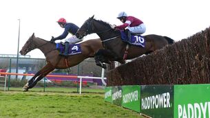 <p>Star Max (nearest) can get off the mark over fences at Fairyhouse. Picture: Healy Racing</p>