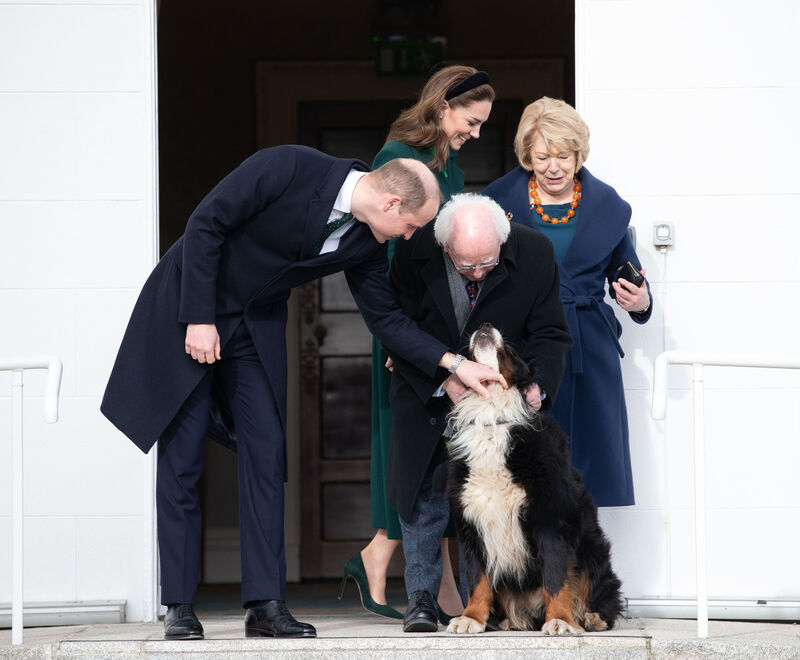 President Higgins and the Duke of Cambridge petting Bród last year. Picture: Julien Behal Photography