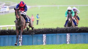 <p>Course winner Carrolls Cottage can strike again at Limerick. Picture: Healy Racing.</p>
