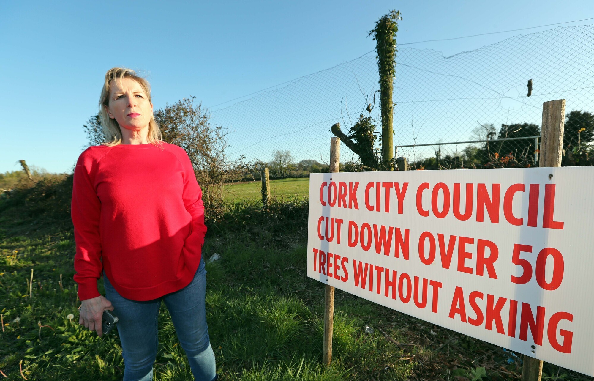 Woman mounts billboard protest over 'brutal' tree felling in Cork City