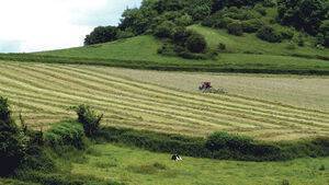 Anger over details of new REAP scheme emerges