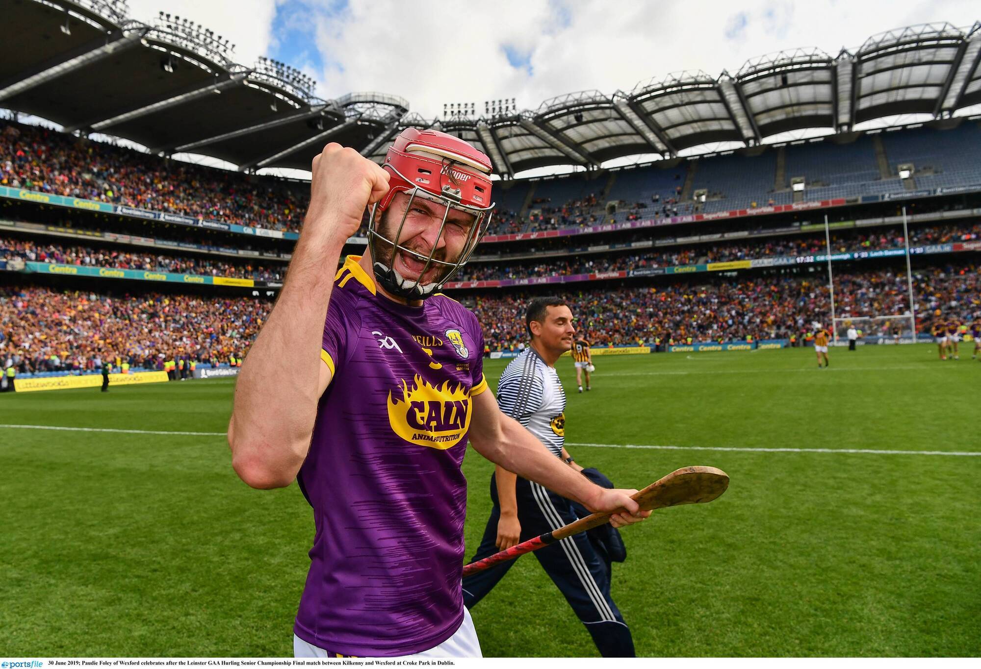 Paudie Foley opts out of Wexford hurling panel for 2021