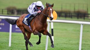 <p>Broome and Seamie Heffernan winning at Naas last month. Picture: Healy Racing</p>