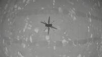 WATCH: Nasa’s Ingenuity makes history with first controlled flight on Mars