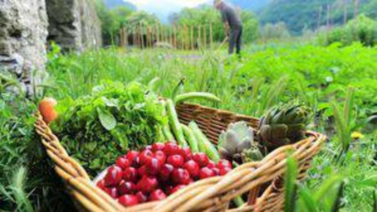 Concerns raised over Agri-Food 2030 strategy