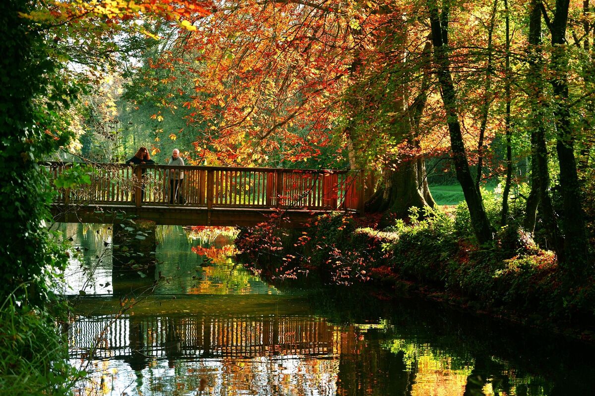 Doneraile Wildlife Park. Picture: Denis Scannell
