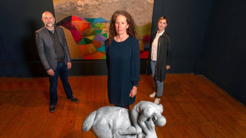 Crawford and IMMA galleries reveal details of 'unprecedented' €1m spend on new art