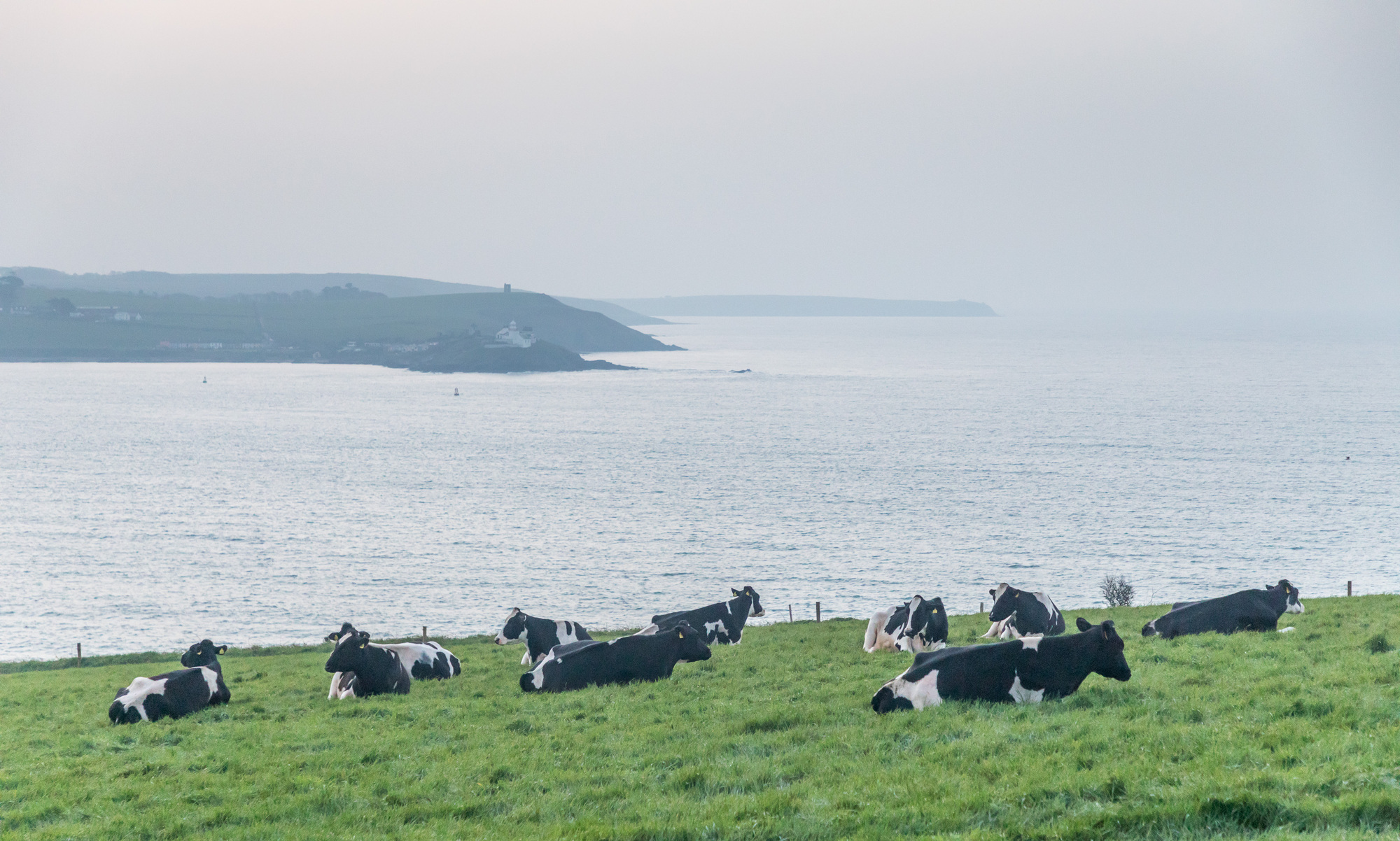 New Study points to EU agricultural production falling at least 25%