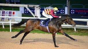 <p>Isle Of Sark ran well enough in a Group 3  12 days ago to suggest he can return to winning ways at Cork. Picture: Healy Racing</p>