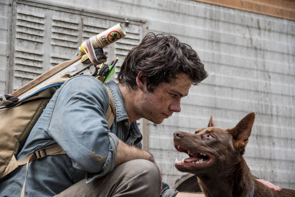 Dylan O'Brien stars Love and Monsters. Picture: Jasin Boland. Dylan O'Brien stars Love and Monsters. Picture: Jasin Boland.