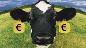 Fears farmers will leave EU income supports behind because of conditionality 