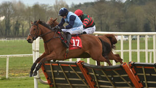 <p> Ya Ya Baby (nearest) made the breakthrough over hurdles in style last time and can follow up in the opener at Punchestown. Picture Dan Linehan</p>