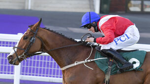 <p>Sir Gerhard and Rachael Blackmore won the Weatherbys Champion Bumper at Cheltenham last month. Picture: Healy Racing.</p>