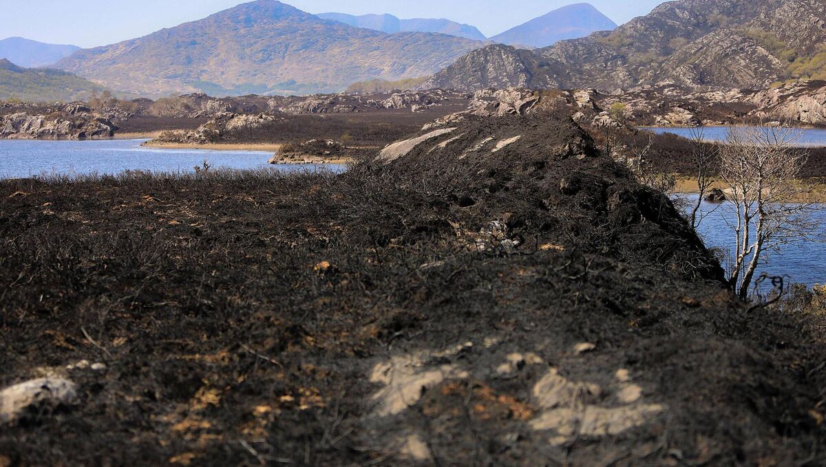 Thousands of acres of Killarney National Park have been destroyed. Picture: Valerie O'Sullivan