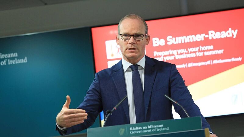 Backlog of 90,000 passports can be cleared in weeks - Coveney