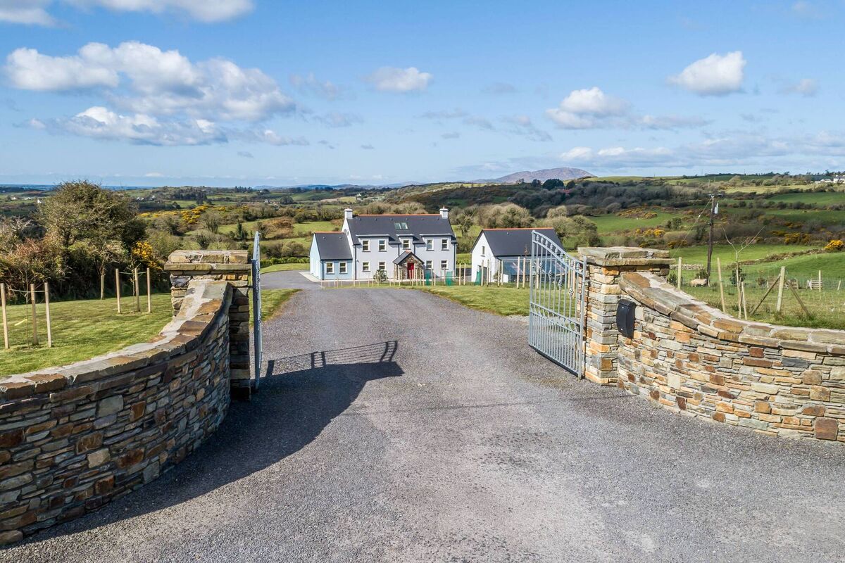 Rooted Irish setting