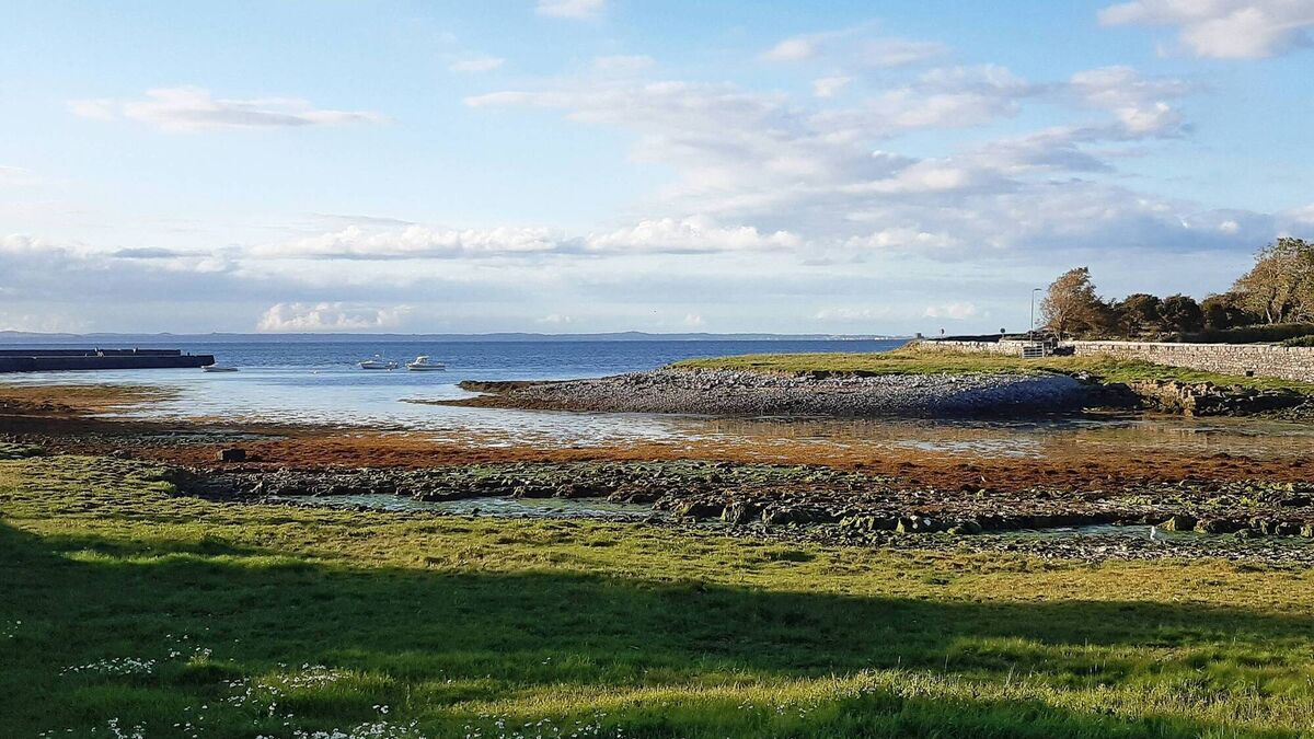 Ireland's best trails: Where to stop, stay and eat on your big walks this summer - Vimarsana News