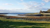 Top 20 walks to explore this weekend in Ireland — where to stop, eat and stay