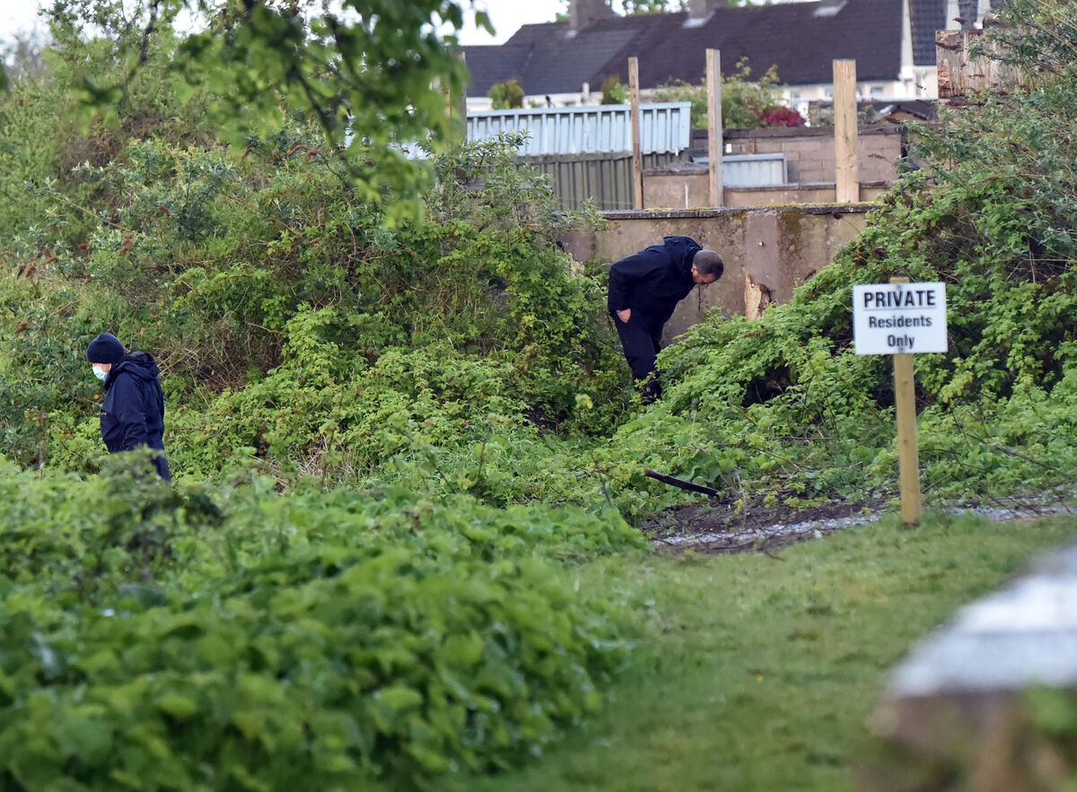 Gardai search an area near the Rochestown Road Cork, Picture: Eddie O'Hare