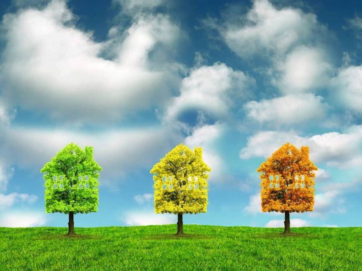 Sustainable alternatives to oil and gas central heating
