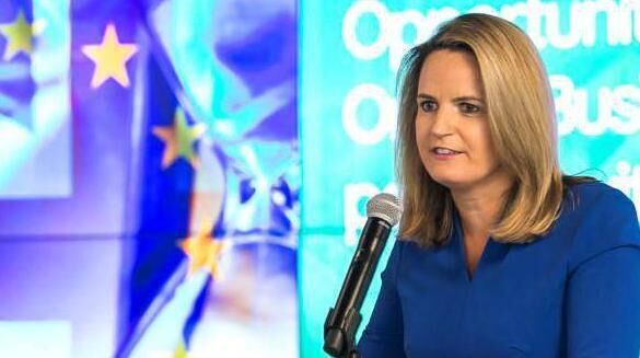 Former Labour Senator, Lorraine Higgins. File Picture Former Labour Senator, Lorraine Higgins. File Picture